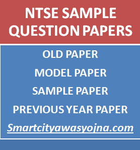 NTSE Exam Sample Paper